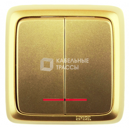 Выключатель открытой установки, двухклавишный, с индикацией, цвет золото | ВА10-152-07 | HEGEL