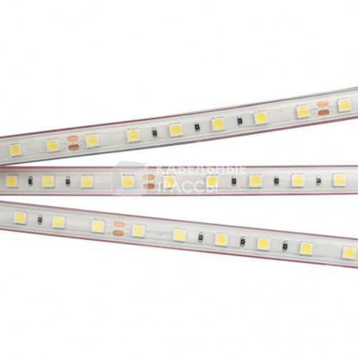 Лента светодиодная RTW 2-5000PS 24V White6000 2x (5060, 300 LED, LUX) | 021399 | Arlight