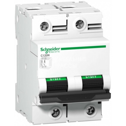 Выключатель автоматический двухполюсный C120N 100А D 10кА | A9N18384 | Schneider Electric