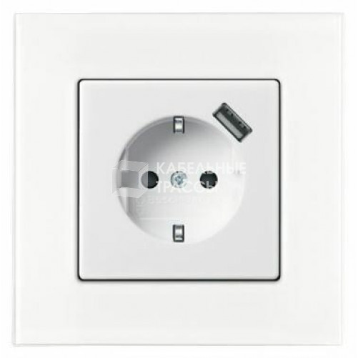 ABB Basic 55 Альп. белый Розетка Schuko 20 EUCBUSB-96-500, 16А, 700мА с устр.заряд.USB | 2011-0-6196 | 2CKA002011A6196 | ABB