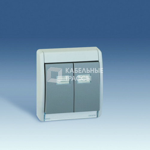 Simon 44 Aqua Рамка для двухклавишного выключателя + 2 клавиши с окном подсветки под механизмы S27, IP55, S44 Aqua | 4400026-035 | Simon