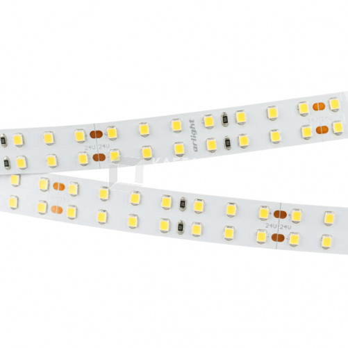 Лента светодиодная RT 2-5000 24V White6000 2x2 (2835, 980 LED, LUX) | 019089(B) | Arlight