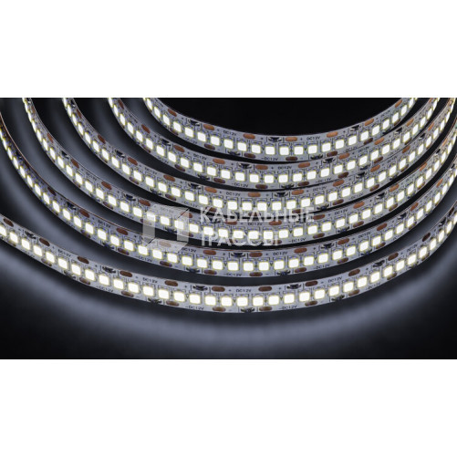 Лента светодиодная NLS-2835CW240-24-IP20-12V | 14459 | Navigator