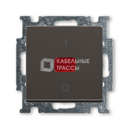 ABB Basic 55 Шато (чёрный) Выключатель 1-клавишный 2-полюсный, 20A | 1020-0-0092 | 2CKA001020A0092 | ABB