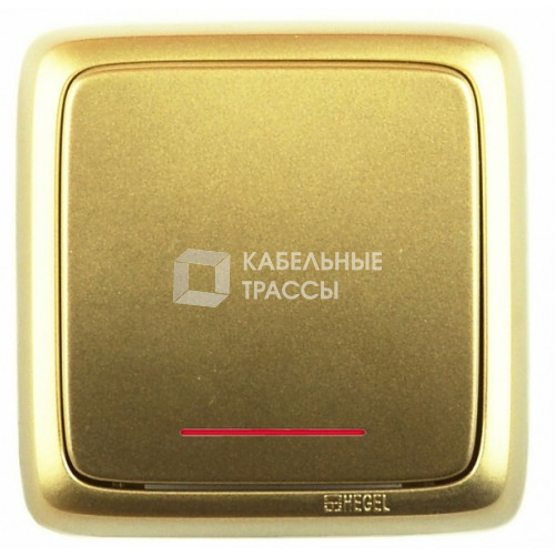 Выключатель открытой установки, одноклавишный, с индикацией, с монтажной пластиной, цвет золото | ВА16-116-07 | HEGEL
