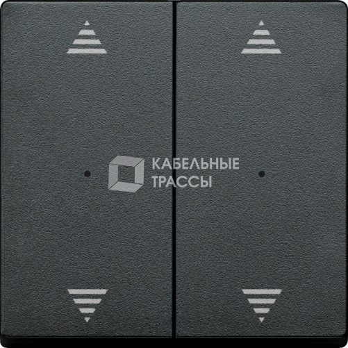 SM,КЛ.ДЛЯ МОД 2КН.ВЫК, РИС ВВ/ВН,1/0,АНТ | MTN625814 | Schneider Electric