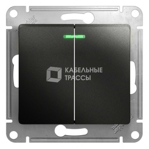 Glossa Антрацит Выключатель 2-клавишный с подсветкой сх.5а, 10АХ | GSL000753 | Schneider Electric