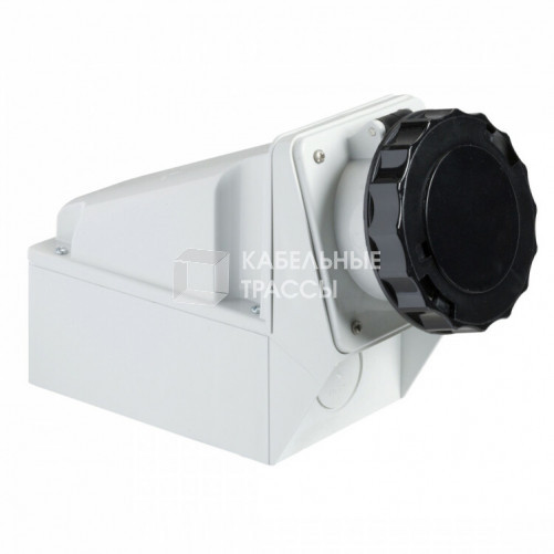 НАСТЕН РОЗ ВИНТ 125A 3PT 480-500V IP67 | 81197 | Schneider Electric