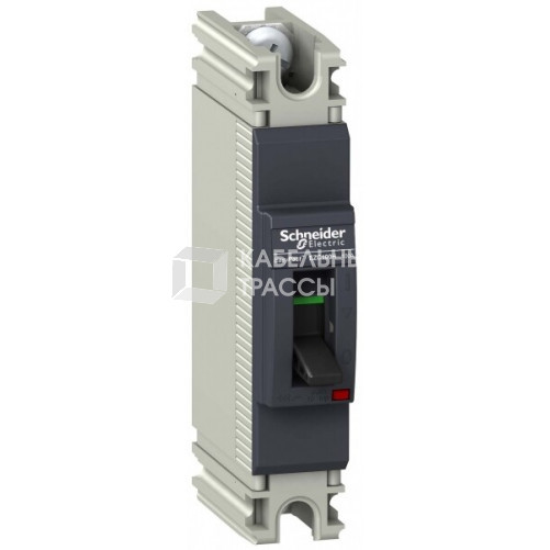 АВТ. ВЫКЛ. EZC100 25 KA/240 В 1П 60 A | EZC100H1060 | Schneider Electric