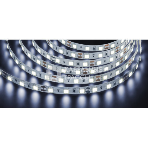 Лента светодиодная NLS-5050CW60-14,4-IP20-12V-Pro R5 14,4Вт 12В 6000К IP20 5м | 71709 | Navigator