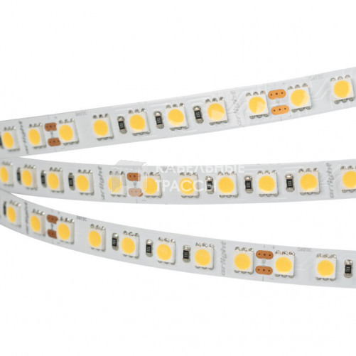 Лента светодиодная RT 6-5050-96 24V Cool 10K 3x (480 LED) | 018731 | Arlight