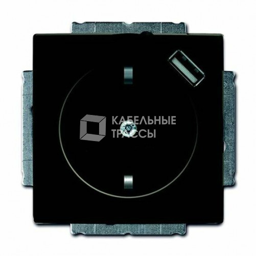 ABB Basic 55 Шато (чёрный) Розетка Schuko с USB 16А, 700 мА безвинтовые клеммы | 2011-0-6195 | 2CKA002011A6195 | ABB