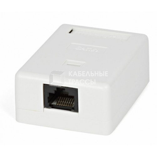 SB1-1-8P8C-C5e-SH-WH Розетка компьютерная RJ-45(8P8C), категория 5e, экранированная, одинарная, внешняя, Dual IDC | 430229 | Hyperline