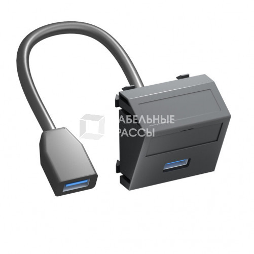 Мультимедийная рамка USB 3.0 A-A Modul45 (черный) (MTS-U3A F SWGR1) | 6104937 | OBO Bettermann