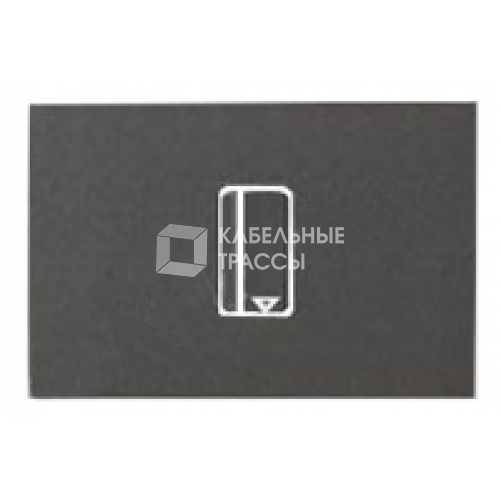 ABB Zenit Антрацит Выключатель карточный с задержкой отключения (5-90 сек.) (2 мод) | N2214.5 AN | 2CLA221450N1801 | ABB