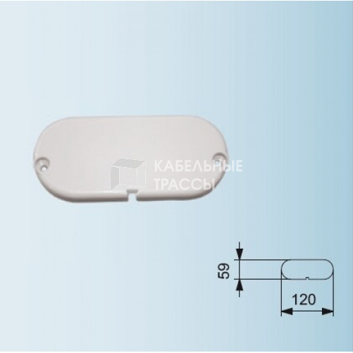 Крышка торцевая ПК белый ДФИА.735 312.048 | 1015040000 | АСТЗ