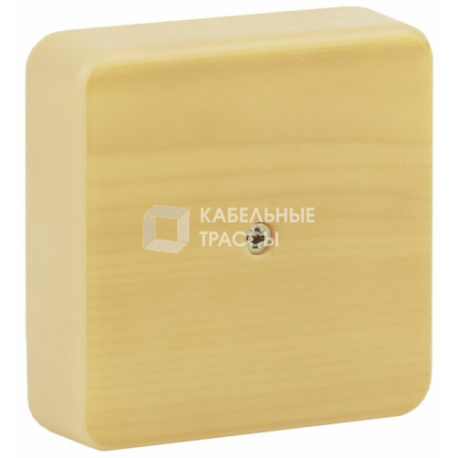 Коробка распределительная 100х100х30 (без клеммы) сосна IP40 ЭРА BS-P-100-100-30 | Б0031182 | ЭРА