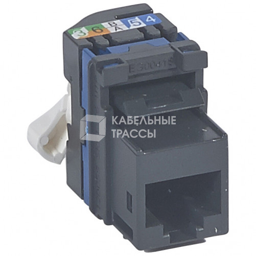 Keystone RJ45 UTP Cat. 6 | 033181 | Legrand