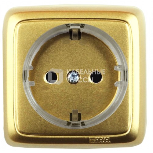 Розетка открытой установки, одноместная, с заземляющим контактом, цвет золото | РА16-171-07 | HEGEL