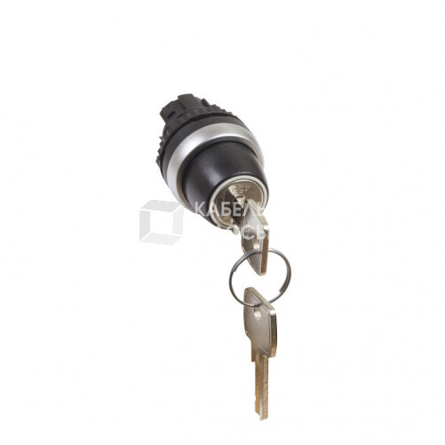 Переключатель с ключом № 455 - Osmoz - для комплектации - без подсветки - IP 66 - 2 положения с фиксацией - 45° | 023951 | Legrand