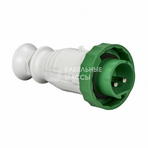 КАБЕЛЬНАЯ ВИЛКА ВИНТ 16A 2P 24/48V IP67 11ч | 82361 | Schneider Electric