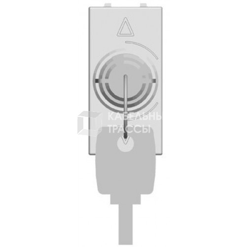 ABB Zenit Серебряный Переключатель с ключом на 3 положения (1 мод) | N2153.1 PL | 2CLA215310N1301 | ABB