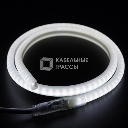 Гибкий Неон LED SMD, форма - D, белый, 120 LED/м, бухта 100м | 131-075 | NEON-NIGHT