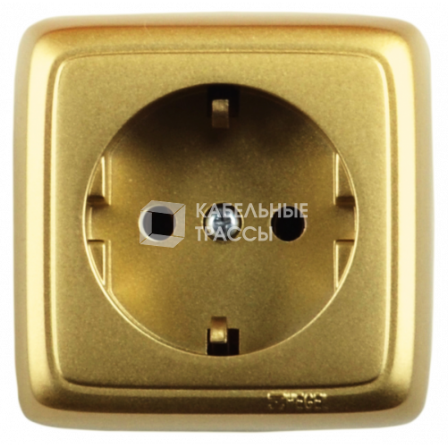 Розетка открытой установки, одноместная, с заземляющим контактом, с монтажной пластиной, цвет золото | РА16-115-07 | HEGEL
