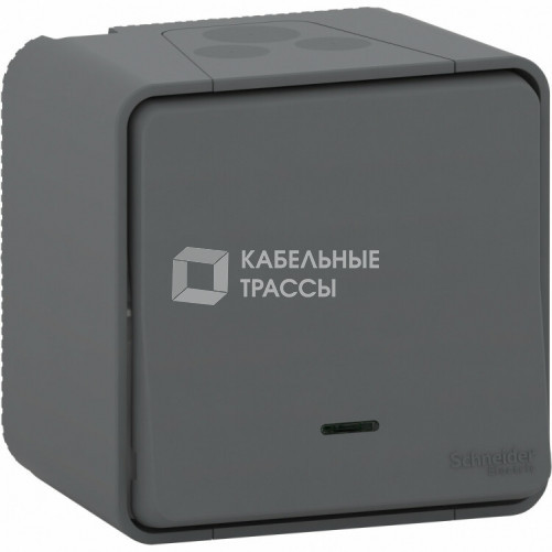 Mureva Styl Антрацит Переключатель 1-кл. с подсв., IP55 (в сборе) | MUR35024 | Schneider Electric