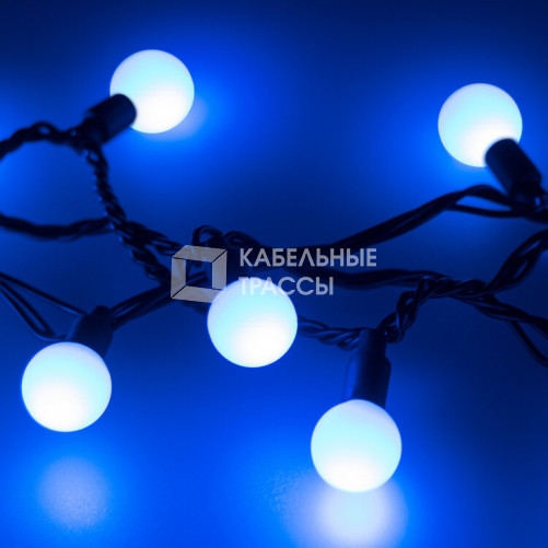 Светодиодная гирлянда ARD-BALL-CLASSIC-D23-20000-BLACK-160LED BLUE (230V, 7W) | 025629 | Arlight