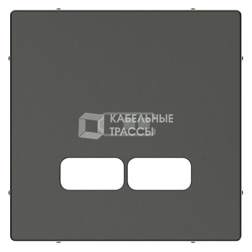 MERTEN, ЦЕНТРАЛЬНАЯ НАКЛАДКА для USB механизма 2,1А, АНТРАЦИТ, SM | MTN4367-0414 | Schneider Electric