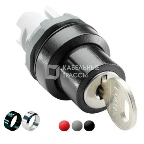 Переключатель с ключом M2SSK2-301 на 2-х положения | 1SFA611281R3001 | ABB