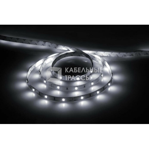 Лента светодиодная LS606/ 30SMD(5050)/м 7.2Вт/м 12V 5000 *10*1.8мм 6500К | 27641 | FERON