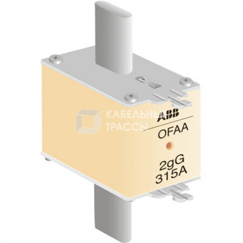 Предохранитель OFAA2GG160 | 1SCA022701R0530 | ABB