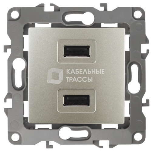 Устройство зарядное USB 12-4110-04 , 5В-2100мА, шампань (6/60/1920) |Б0027494 | ЭРА