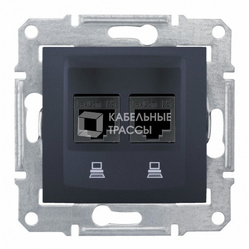 Sedna Графит Розетка компьютерная 2-ая RJ45 кат. 5e STP | SDN4600170 | Schneider Electric