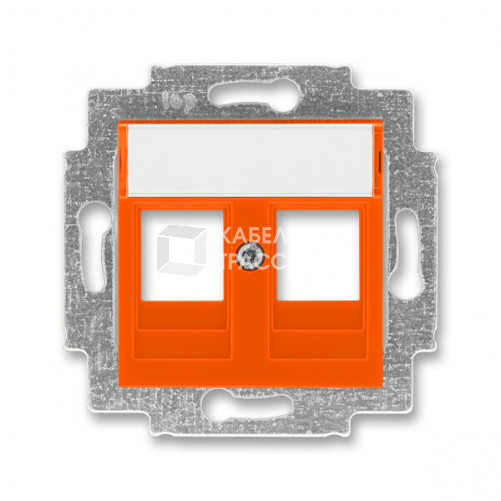 ABB Levit Оранжевый Накладка с суппортом для информационных разъёмов | 5014H-A01018 66 | 2CHH291018A4066 | ABB