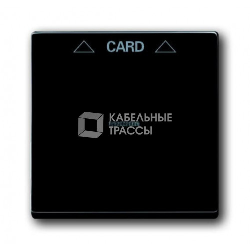 Накладка карточного выключателя, Impressivo, антрацит | 1792-81 | 2TKA000579G1 | ABB