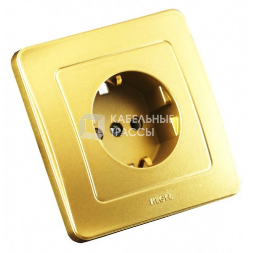 Розетка скрытой установки, одноместная, с заземляющим контактом, цвет золото | РС16-311-07 | HEGEL