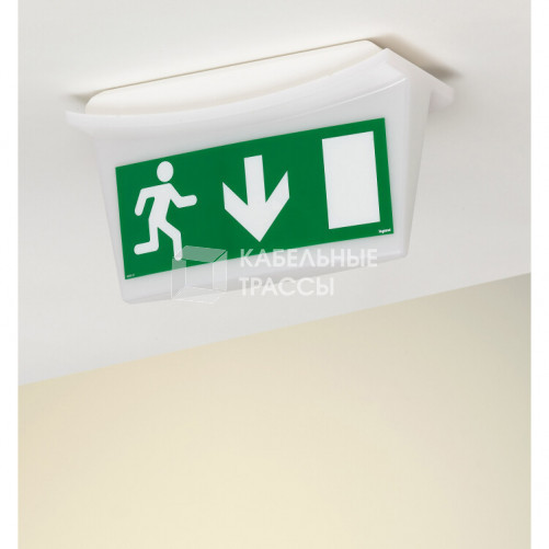 Информационная табличка - для автономных эвакуационных светильников - дверь на выход вниз - 310х112 мм | 660867 | Legrand
