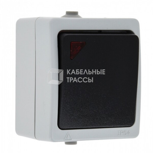 Венеция Выключатель 1 -клавишный с индикатором 10А IP54 серый EKF | EVV10-121-30-54 | EKF