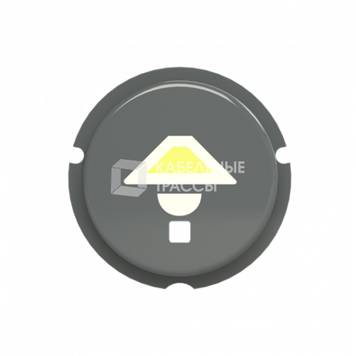 SBL-N2GR Кнопка освещение free@home, Zenit, серый | SBL-N2GR | 2CLA202610N1402 | ABB