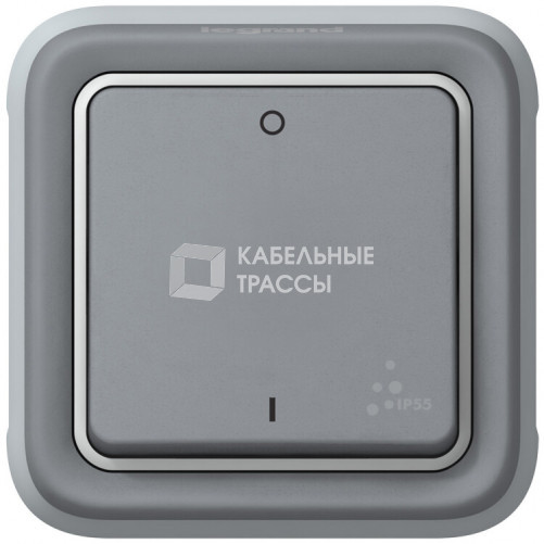 Plexo Серый Выключатель 1-клавишный 2-х полюсный IP55 | 069530 | Legrand