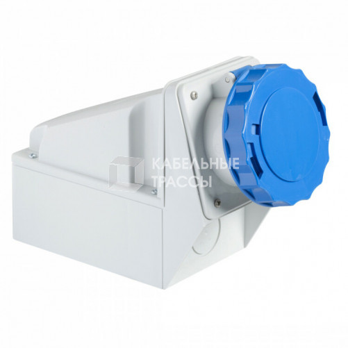 НАСТ РОЗ С КОР ВИНТ 125A 5P 220V IP67 | 81192 | Schneider Electric