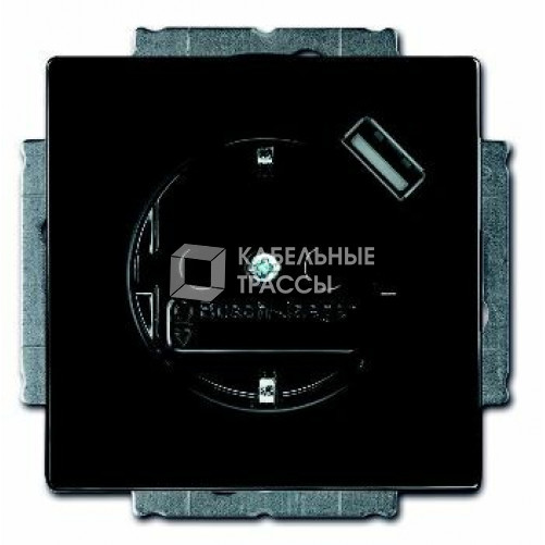 Розетка Schuko с устройством зарядным USB, 20 EUCBUSB-81-500, Carat чёрный(антрацит), 16А, 700 мА | 2011-0-6176 | 2CKA002011A6176 | ABB