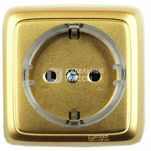 Розетка открытой установки, одноместная, с заземляющим контактом, со шторкой, цвет золото | РА16-172-07 | HEGEL