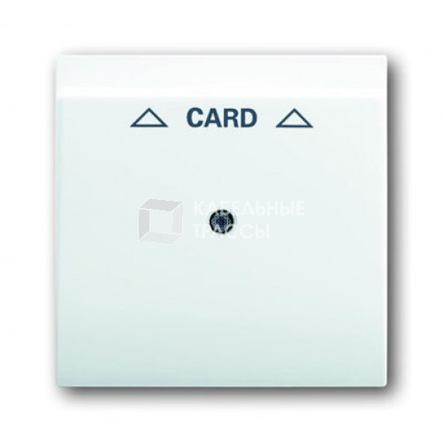 Плата центральная (накладка) для механизма карточного выключателя 2025 U, серия impuls, цвет альпийский белый | 1753-0-6703 | 2CKA001753A6703 | ABB