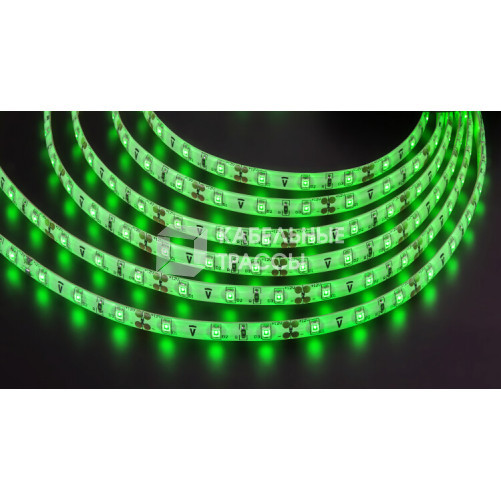 Лента светодиодная NLS-3528G60-4,8-IP65-12V R5 4,8Вт 12В зеленый IP65 5м | 71405 | Navigator