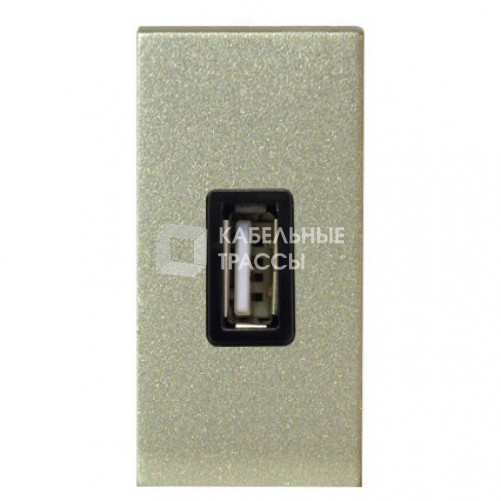 ABB Zenit Шампань Механизм USB зарядного устройства, 1М, 750 мА | N2185 CV | 2CLA218500N1901 | ABB