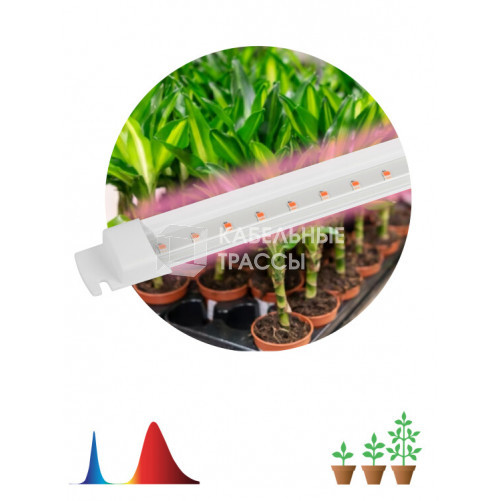 Светильник для растений, фитолампа светодиодная линейная FITO-10W-Т5-RB-Slim красно-синего спектра 10 Вт Т5 | Б0057401 | ЭРА